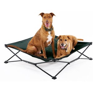Coolaroo On The Go Elevated Cat & Dog Bed with Removable Cover, Brunswick Green, Large