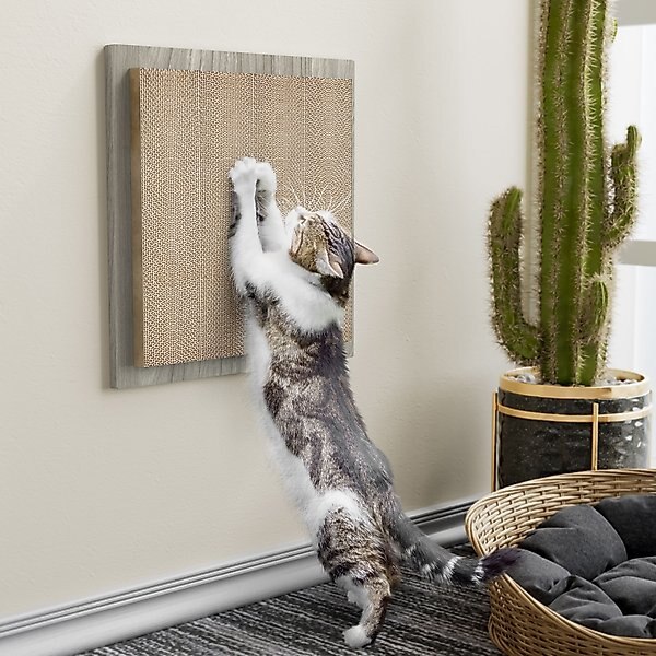 Way Basics Square Wall Cat Scratcher, Medium, Aspen Grey slide 1 of 3