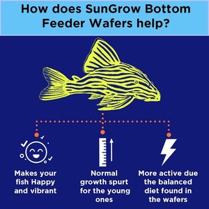 SunGrow Algae Wafers Bottom Feeder, Snail & Pleco Sinking Fish Food, 2.8-oz