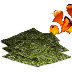 SunGrow Dried Green Seaweed Sheets Snack for Betta & Hermit Crab, Veggie Fish Food Supplement
