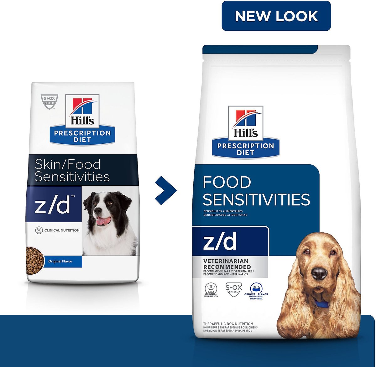 Zd 2025 dog food