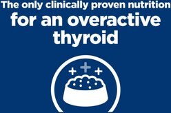 Hill's Prescription Diet y/d Thyroid Care Original Flavor Dry Cat Food, 4-lb bag slide 2 of 9