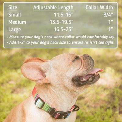 Show full view: Leash Boss Patterned Dog Collar, Beige/Red, Small slide 3 of 7