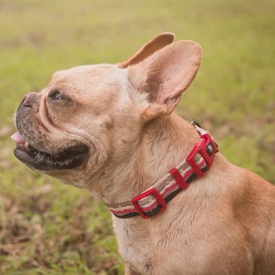 Show full view: Leash Boss Patterned Dog Collar, Beige/Red, Small slide 5 of 7