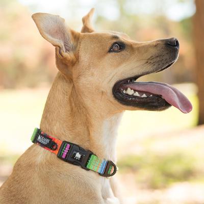 Show full view: Leash Boss Patterned Dog Collar, Orange, Medium slide 5 of 7