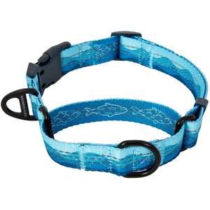 Leashboss Patterned Fabric Martingale Dog Collar, Blue, Small