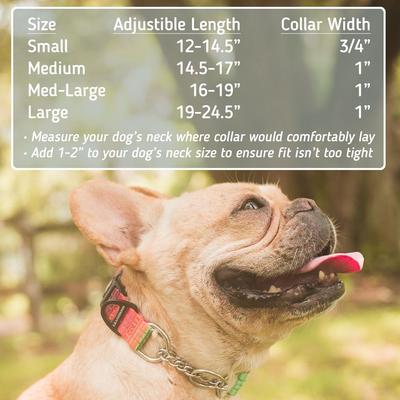 Show full view: Leash Boss Chain Martingale Dog Collar, Orange, Small slide 3 of 7