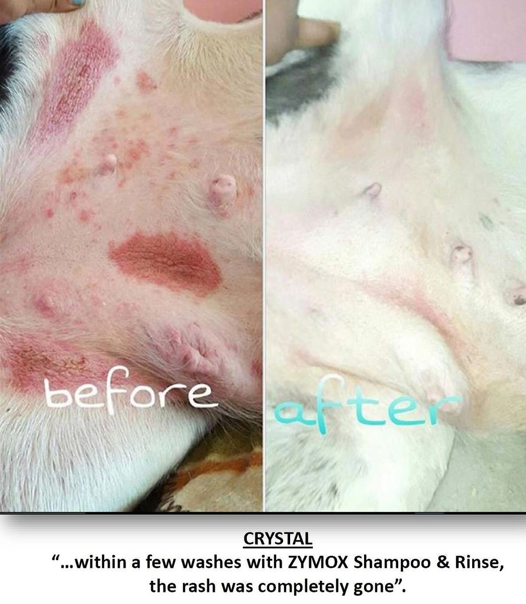 ZYMOX Veterinary Strength Enzymatic Dog & Cat Shampoo, 12oz bottle