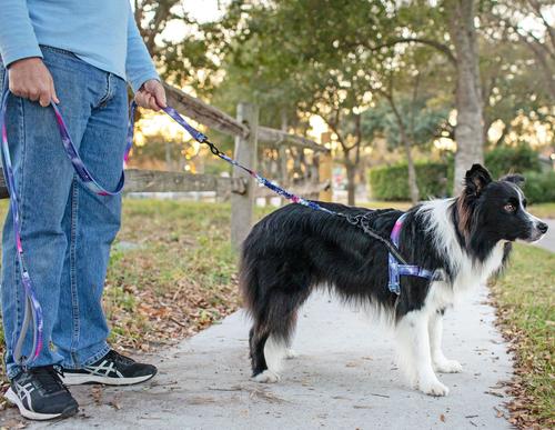Show full view: Leash Boss Patterned No Pull Dog Harness, Purple/Pink, Small slide 7 of 8