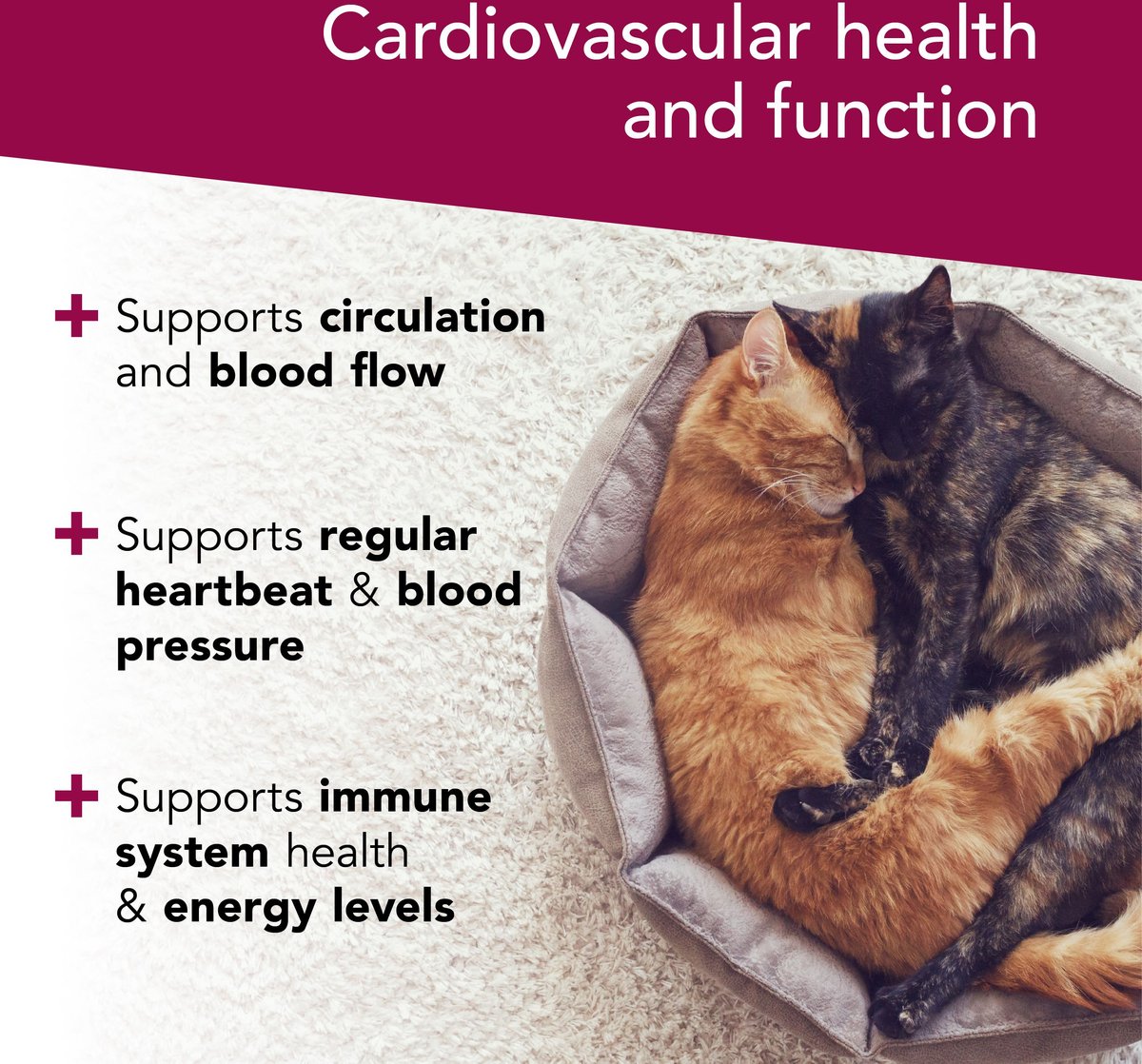 VETRISCIENCE Cardio Strength Capsules Heart Supplement for Cats