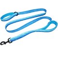Leashboss Two Handle Dog Leash, 6-ft long, Blue