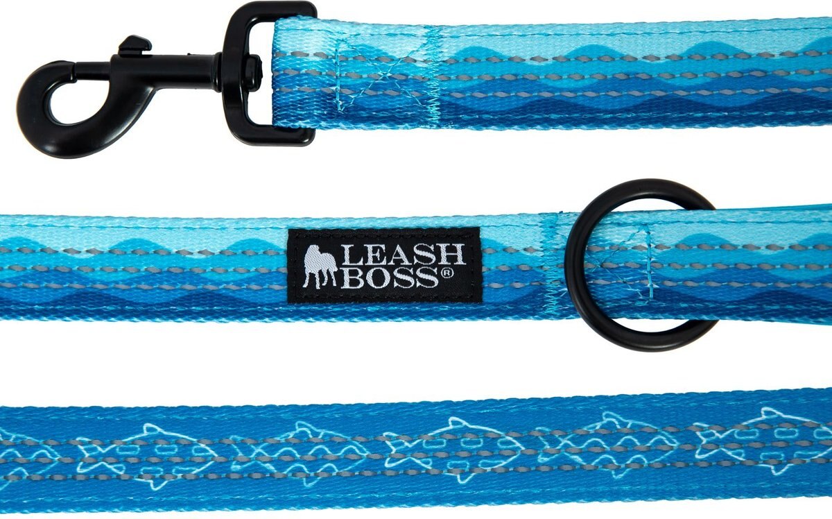 LEASHBOSS Two Handle Dog Leash, 6ft long, Blue