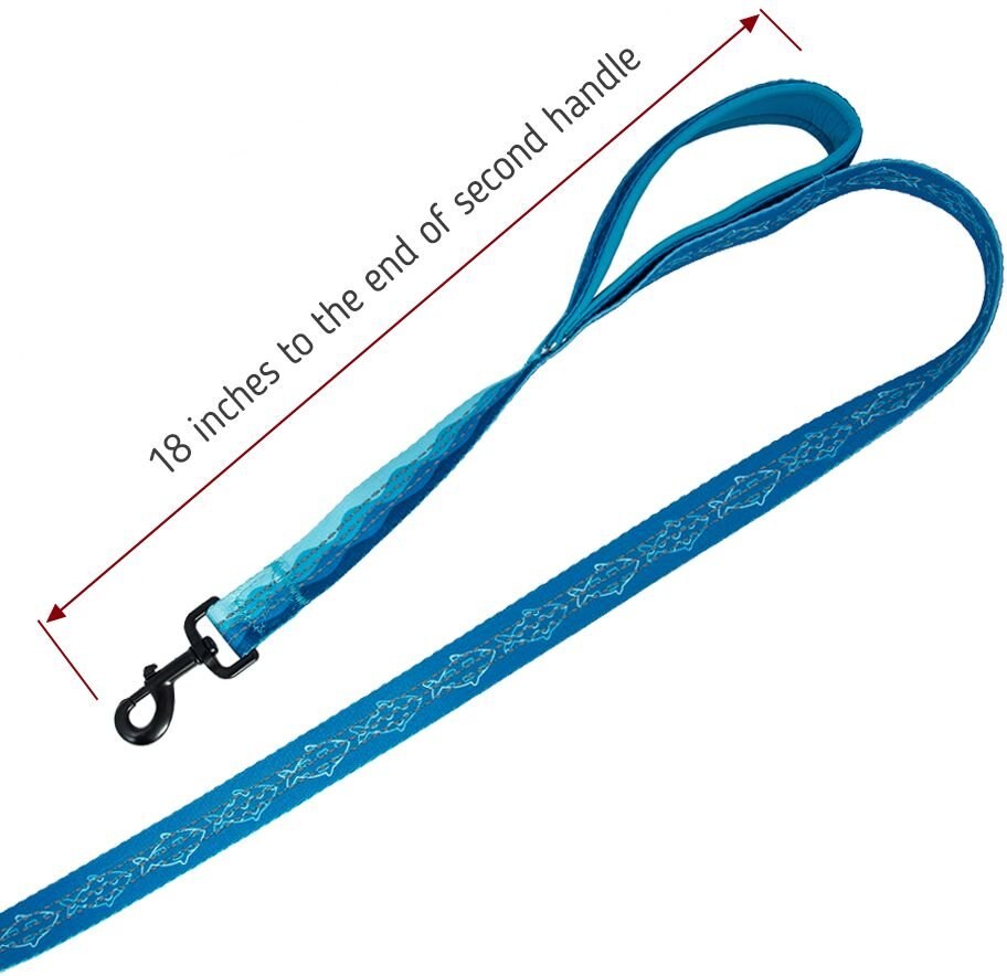 LEASHBOSS Two Handle Dog Leash, 6ft long, Blue