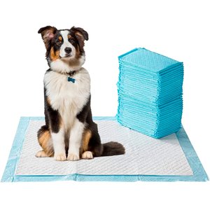 HYGENA SCOOP High Absorbant Dog Potty Pads, Large, 40 count - Chewy.com