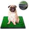 Show in main carousel: Hygena Scoop Grass Indoor/Outdoor Portable Potty Dog Litter slide 1 of 8