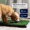 Show in main carousel: Hygena Scoop Grass Indoor/Outdoor Portable Potty Dog Litter slide 3 of 8