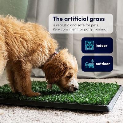 Show full view: Hygena Scoop Grass Indoor/Outdoor Portable Potty Dog Litter slide 3 of 8