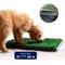 Show in main carousel: Hygena Scoop Grass Indoor/Outdoor Portable Potty Dog Litter slide 6 of 8