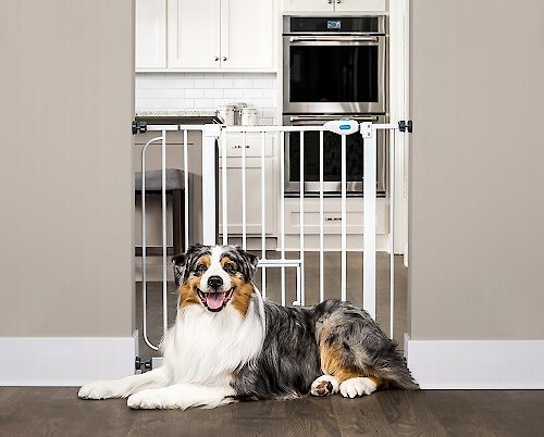 Carlson Pet Products - Tuffy® Expandable Pet Gate