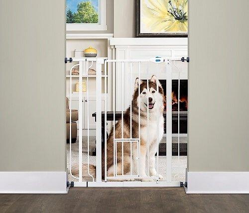 Carlson Pet Products Extra Tall Walk-Thru Gate with Pet Door, Extra Tall slide 1 of 3
