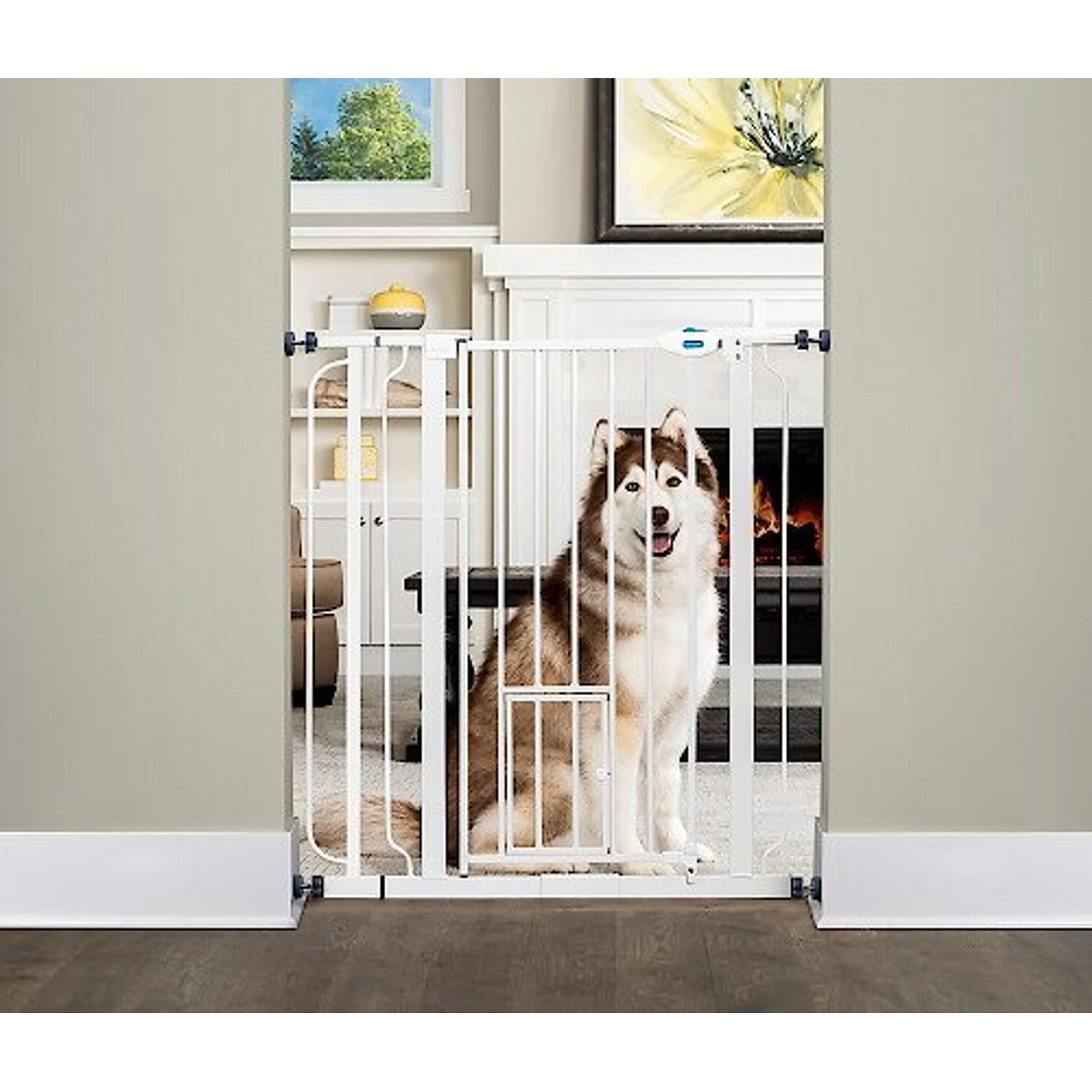 CARLSON PET PRODUCTS Extra Tall Walk Thru Dog Gate with Pet Door Extra Tall Chewy