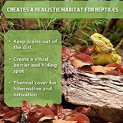 SunGrow Mini Catappa Frog & Gecko Leaf Litter, Bioactive Substrate for Reptile Vivarium, 50 count slide 2 of 6