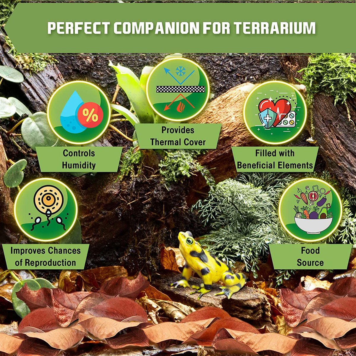 SUNGROW Mini Catappa Frog & Gecko Leaf Litter, Bioactive Substrate for