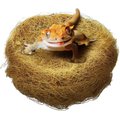 SunGrow Coconut Fiber Substrate for Gecko & Hermit Crab, Snake Bedding for Reptile Terrarium