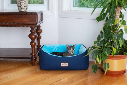 Show full view: Armarkat Bolster Cat & Dog Bed with Removable Cover, Navy Blue/Sky Blue slide 3 of 10