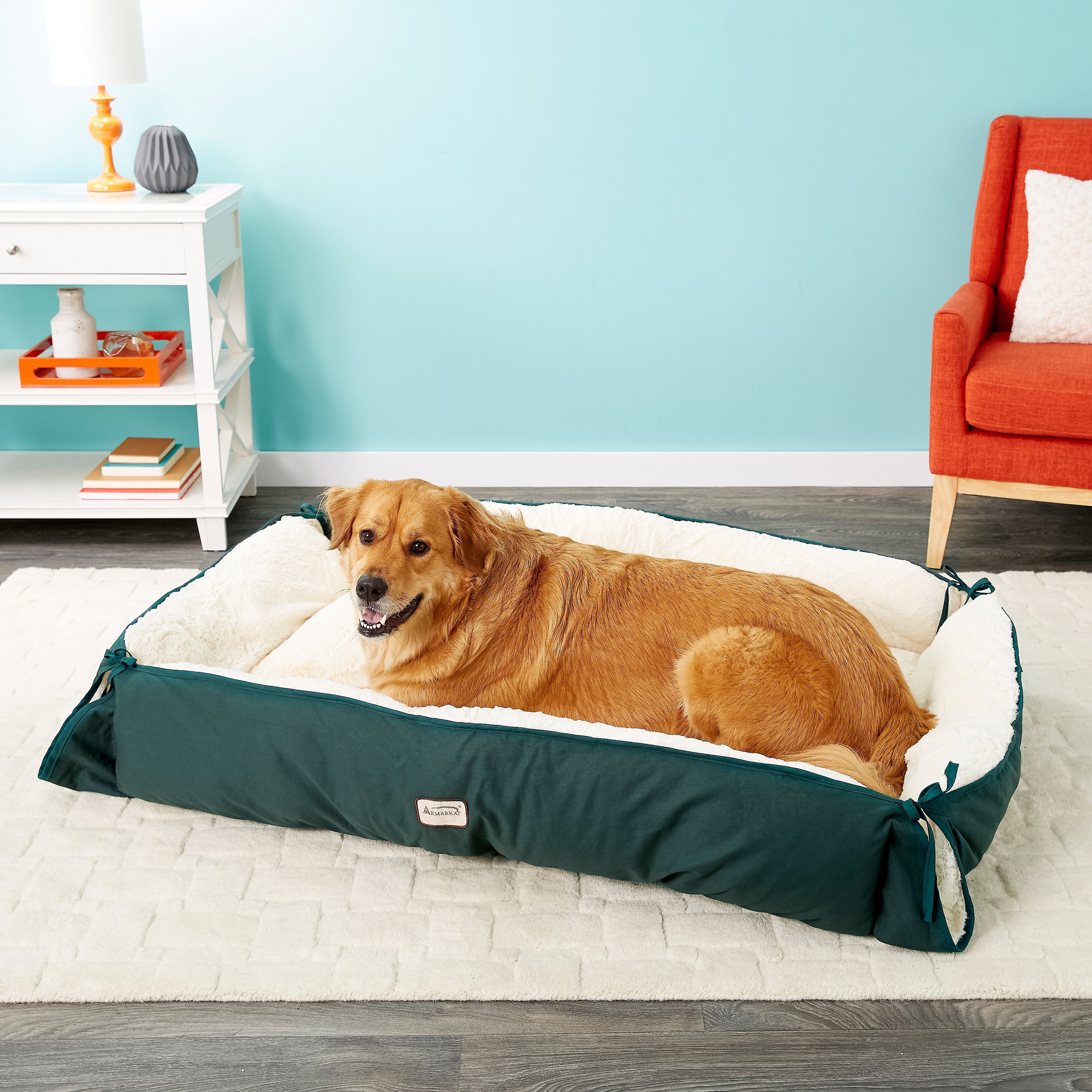 My dog has bladder issues (due to neglect from her previous owners) and