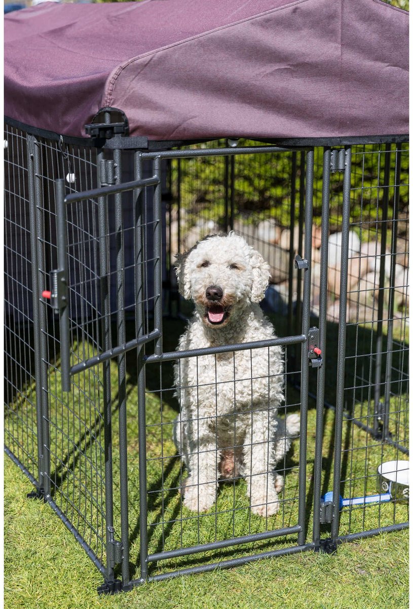 Trixie hotsell dog crate