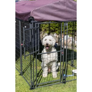 Chewy outdoor outlet dog kennels