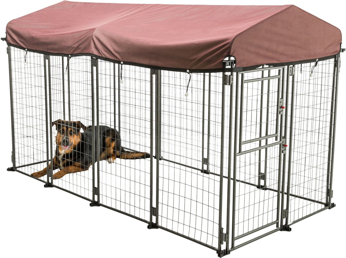 Chewy outdoor hot sale dog kennels