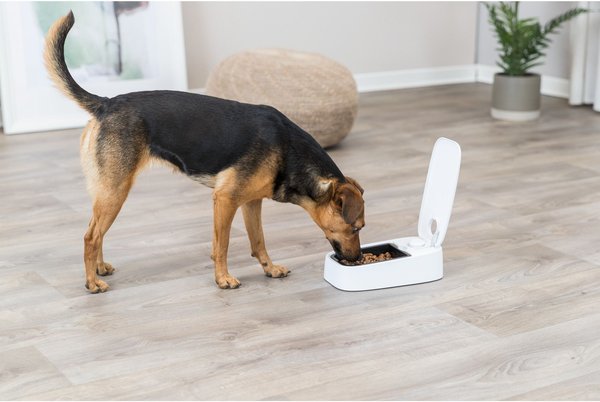 TRIXIE TX1 Automatic Cat & Dog Food Dispenser, White