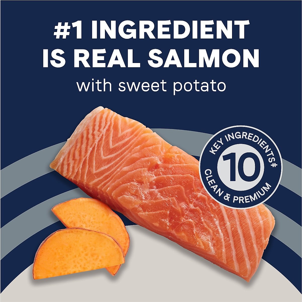 canidae grain free salmon