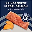 canidae limited ingredient salmon
