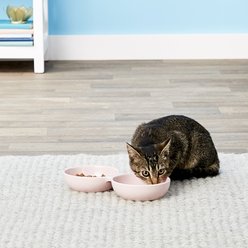 PetRageous Designs Wubby's Duo Diner Pet Bowls, Pink slide 2 of 3