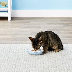 PetRageous Designs Sleepy Kitty Oval Cat Dish, Blue, 5.3-oz slide 2 of 4