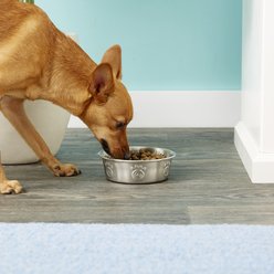 PetRageous Designs Cayman Classic Non-Skid Stainless Steel Dog & Cat Bowl, 2-cup slide 2 of 3