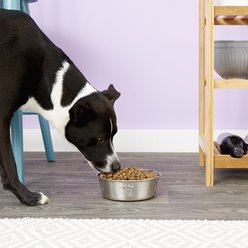 PetRageous Designs Cayman Classic Non-Skid Stainless Steel Dog & Cat Bowl, 4-cup slide 2 of 5