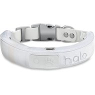 chewy halo collar