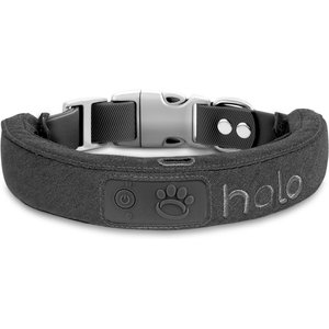 Halo 2+ GPS Dog Collar & Wireless Virtual Fence, Graphite, Large