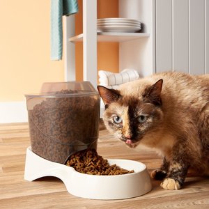 Van Ness Automatic Dog & Cat Feeder, 1-cup