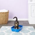 Van Ness Cat Litter Pan, Blue, Medium