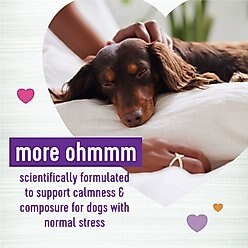 Wellness Calm Relaxation Support Cheese Flavor Chew Supplements for Dogs, 90 count slide 2 of 8