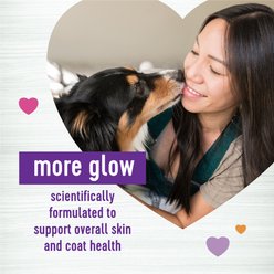 Wellness Shine Skin & Coat Bacon Flavor Chew Supplements for Dogs, 90 count slide 2 of 8