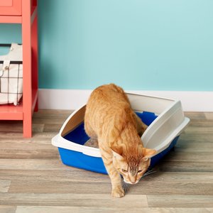 Van Ness Large Framed Cat Litter Pan, Color Varies, Large