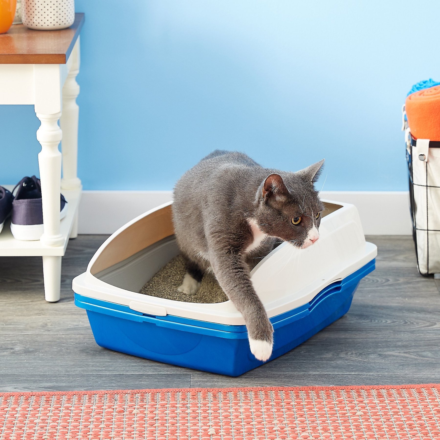 Van Ness Plastic Large/Small Kitty Kitten Cat Litter Box Pan Tray