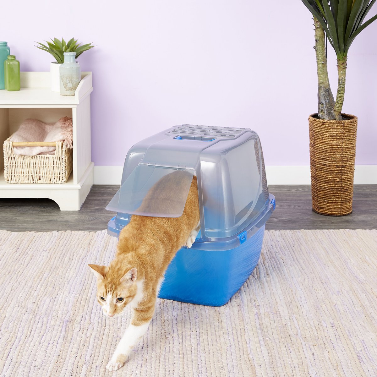 Van ness covered store cat litter box