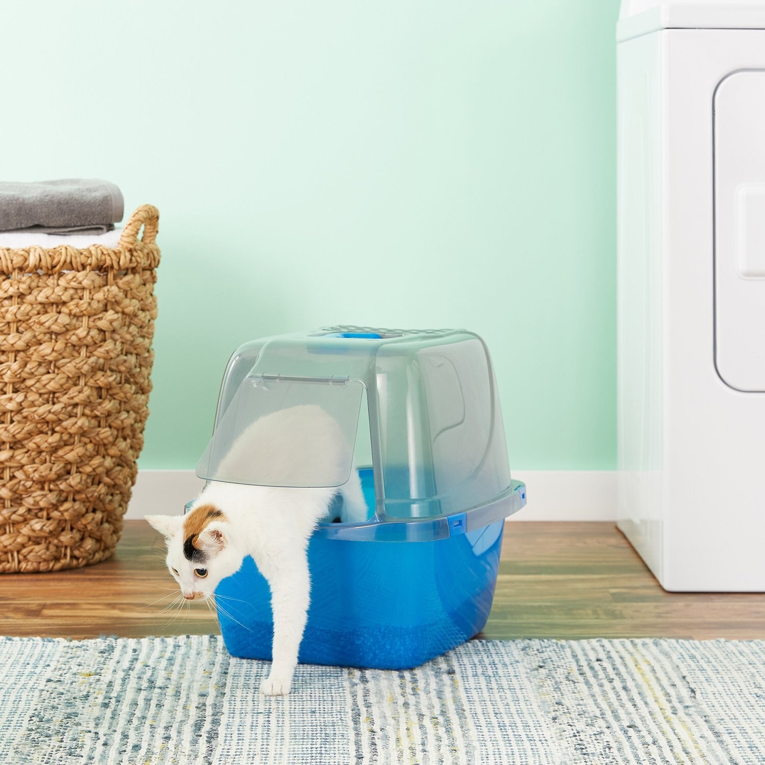 VAN NESS Translucent Enclosed Cat Litter Pan, Large